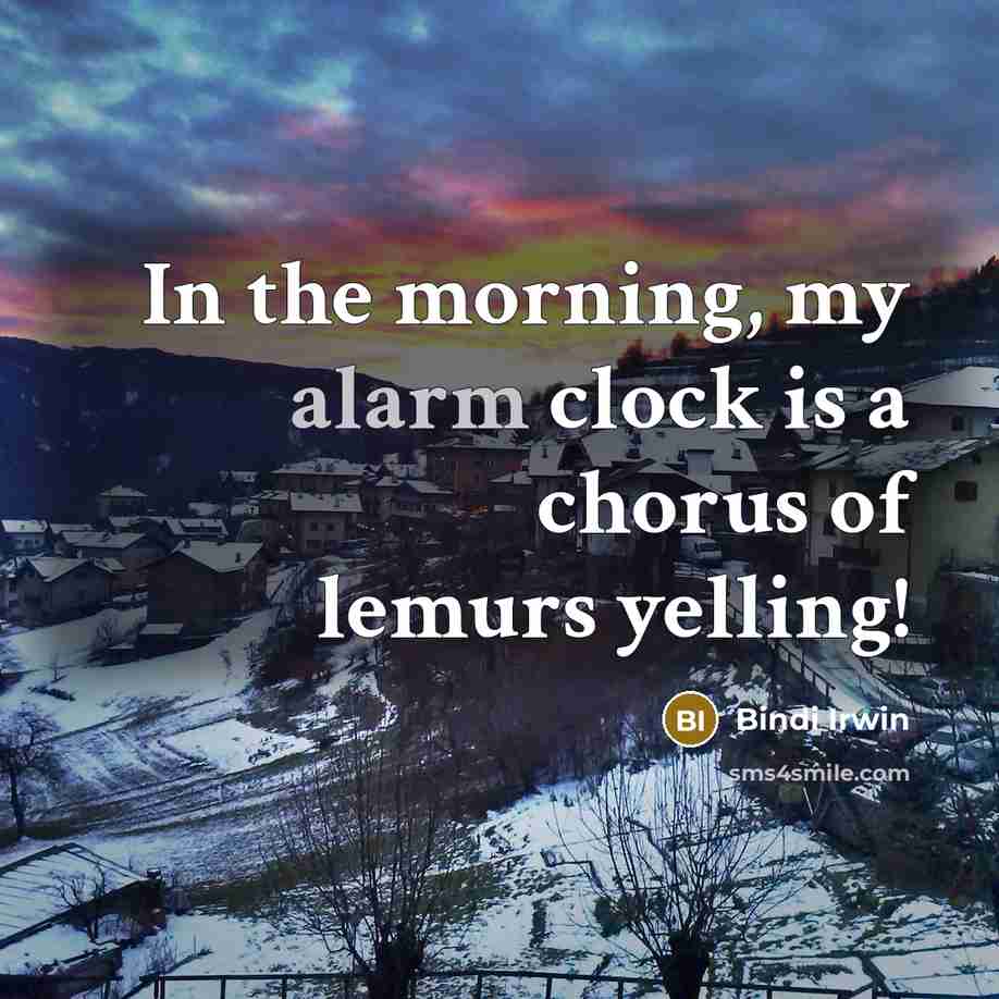 “In the morning, my alarm clock is a chorus of lemurs yelling!” quote by Bindi Irwin