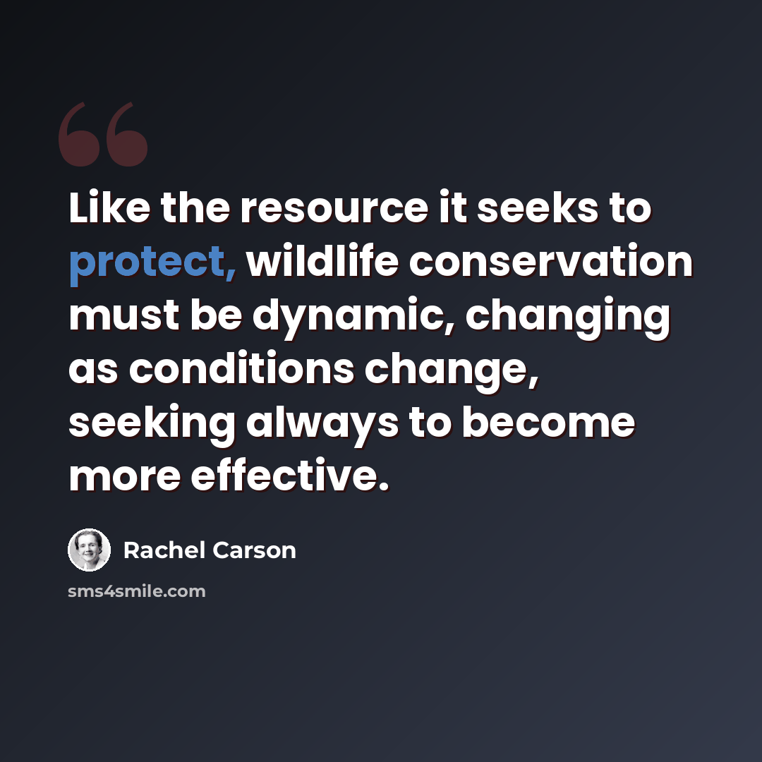 “Like the resource it seeks to protect, wildlife conservation must be dynamic, changing as conditions change, seeking always to become more effective.” quote by Rachel Carson