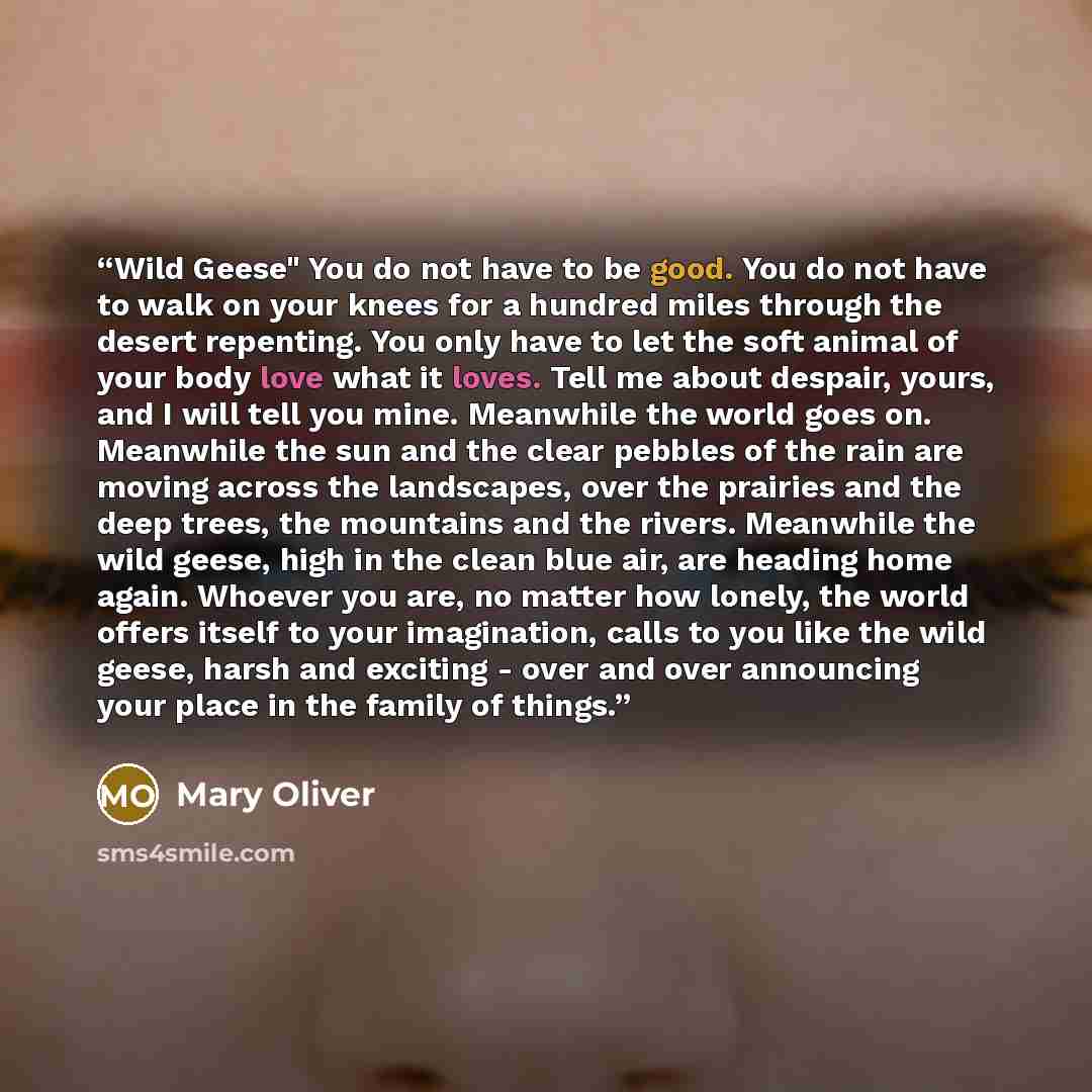 “Wild Geese" You do not have to be good. You do not have to walk on your knees for a hundred miles through the desert repenting. You only have to let the soft animal of your body love what it loves. Tell me about despair, yours, and I will tell you mine. Meanwhile the world goes on. Meanwhile the…” quote by Mary Oliver