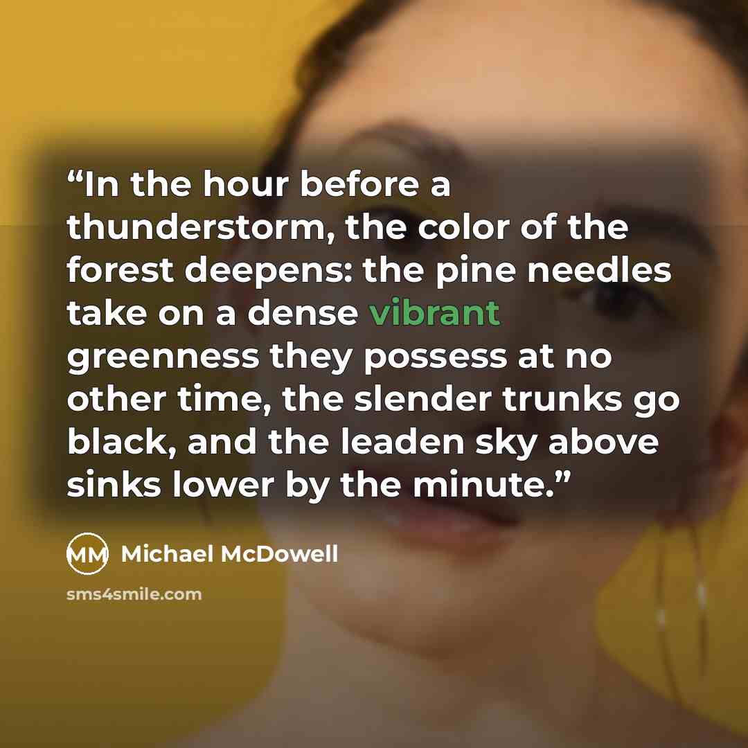 “In the hour before a thunderstorm, the color of the forest deepens: the pine needles take on a dense vibrant greenness they possess at no other time, the slender trunks go black, and the leaden sky above sinks lower by the minute.” quote by Michael McDowell
