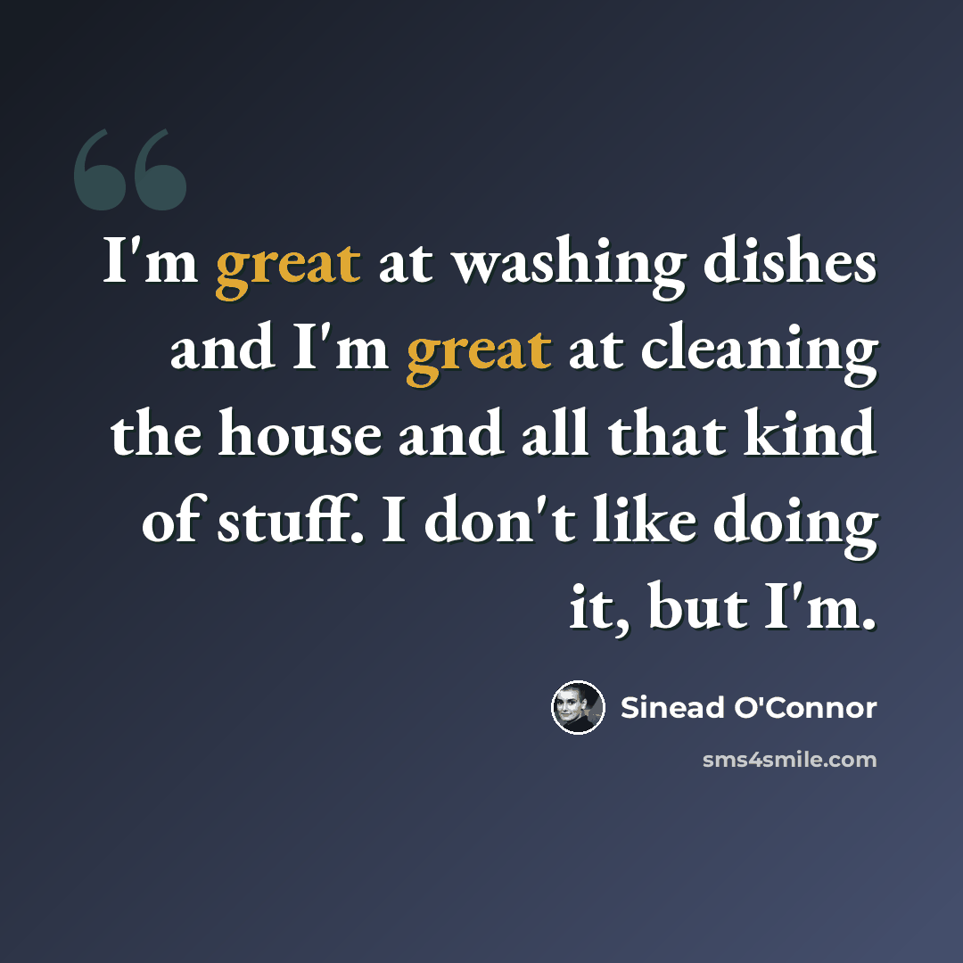 “I'm great at washing dishes and I'm great at cleaning the house and all that kind of stuff. I don't like doing it, but I'm.” quote by Sinead O'Connor