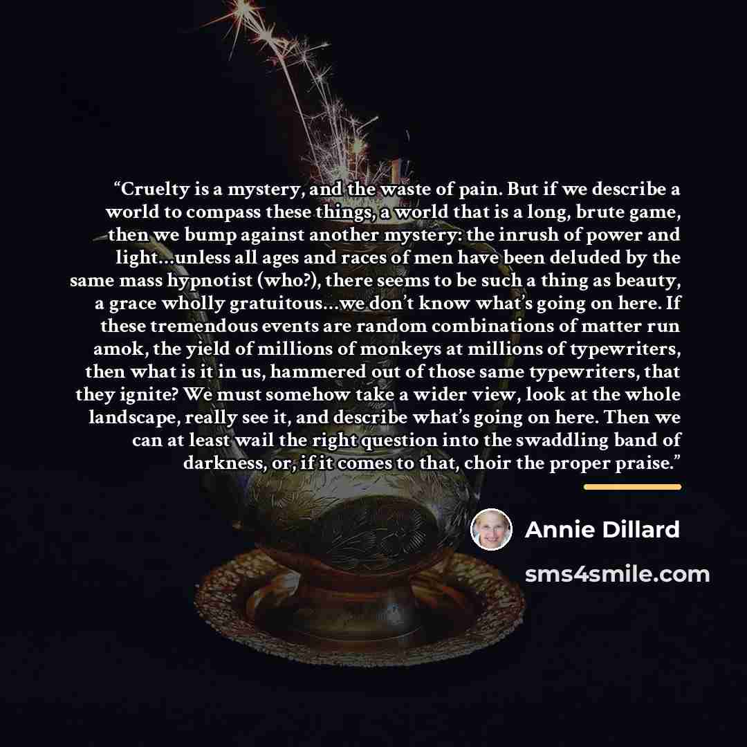 “Cruelty is a mystery, and the waste of pain. But if we describe a world to compass these things, a world that is a long, brute game, then we bump against another mystery: the inrush of power and light…unless all ages and races of men have been deluded by the same mass hypnotist (who?), there seems…” quote by Annie Dillard