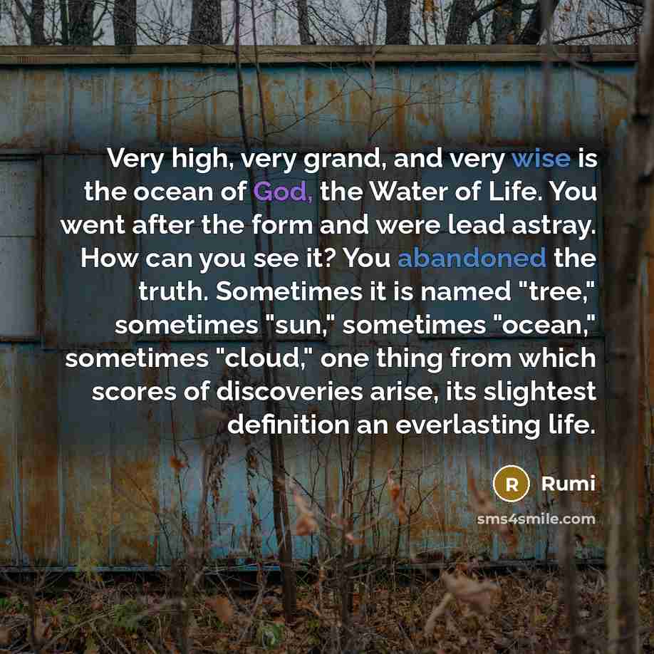 “Very high, very grand, and very wise is the ocean of God, the Water of Life. You went after the form and were lead astray. How can you see it? You abandoned the truth. Sometimes it is named "tree," sometimes "sun," sometimes "ocean," sometimes "cloud," one thing from which scores of discoveries…” quote by Rumi