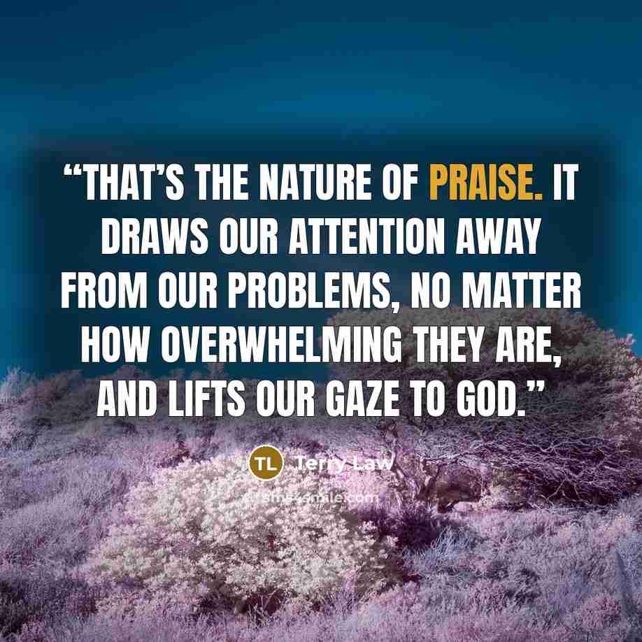 “That’s the nature of praise. It draws our attention away from our problems, no matter how overwhelming they are, and lifts our gaze to God.” quote by Terry Law