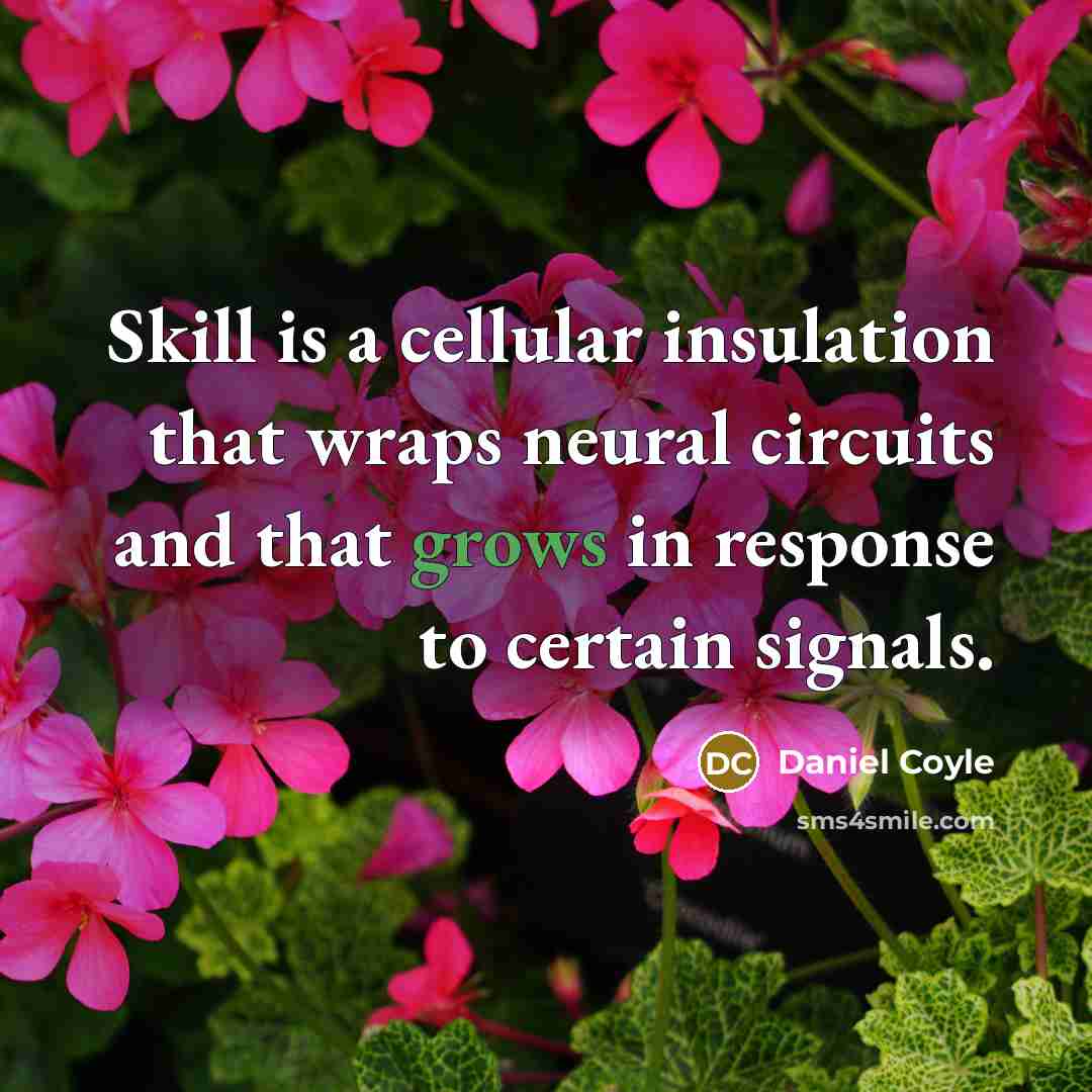 “Skill is a cellular insulation that wraps neural circuits and that grows in response to certain signals.” quote by Daniel Coyle