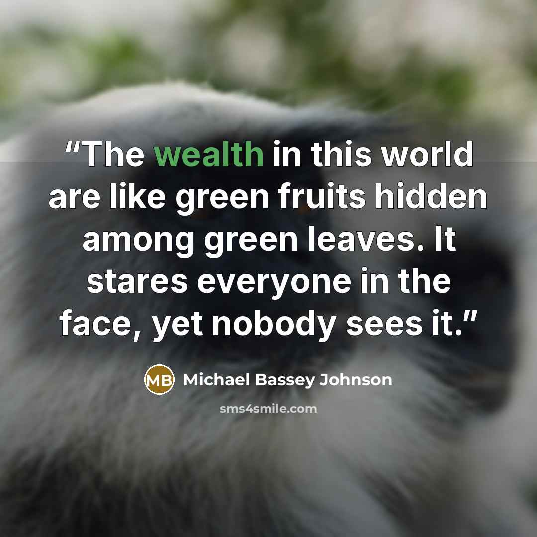 “The wealth in this world are like green fruits hidden among green leaves. It stares everyone in the face, yet nobody sees it.” quote by Michael Bassey Johnson