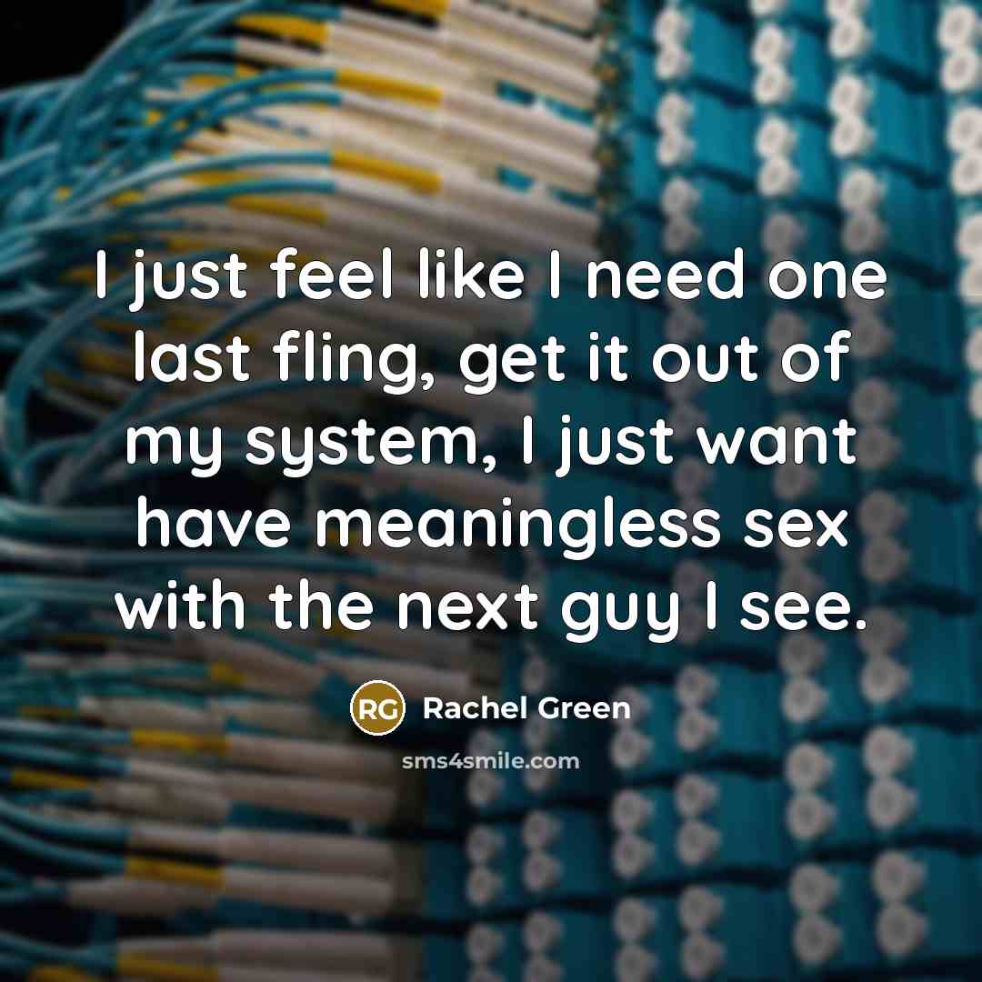 “I just feel like I need one last fling, get it out of my system, I just want have meaningless sex with the next guy I see.” quote by Rachel Green