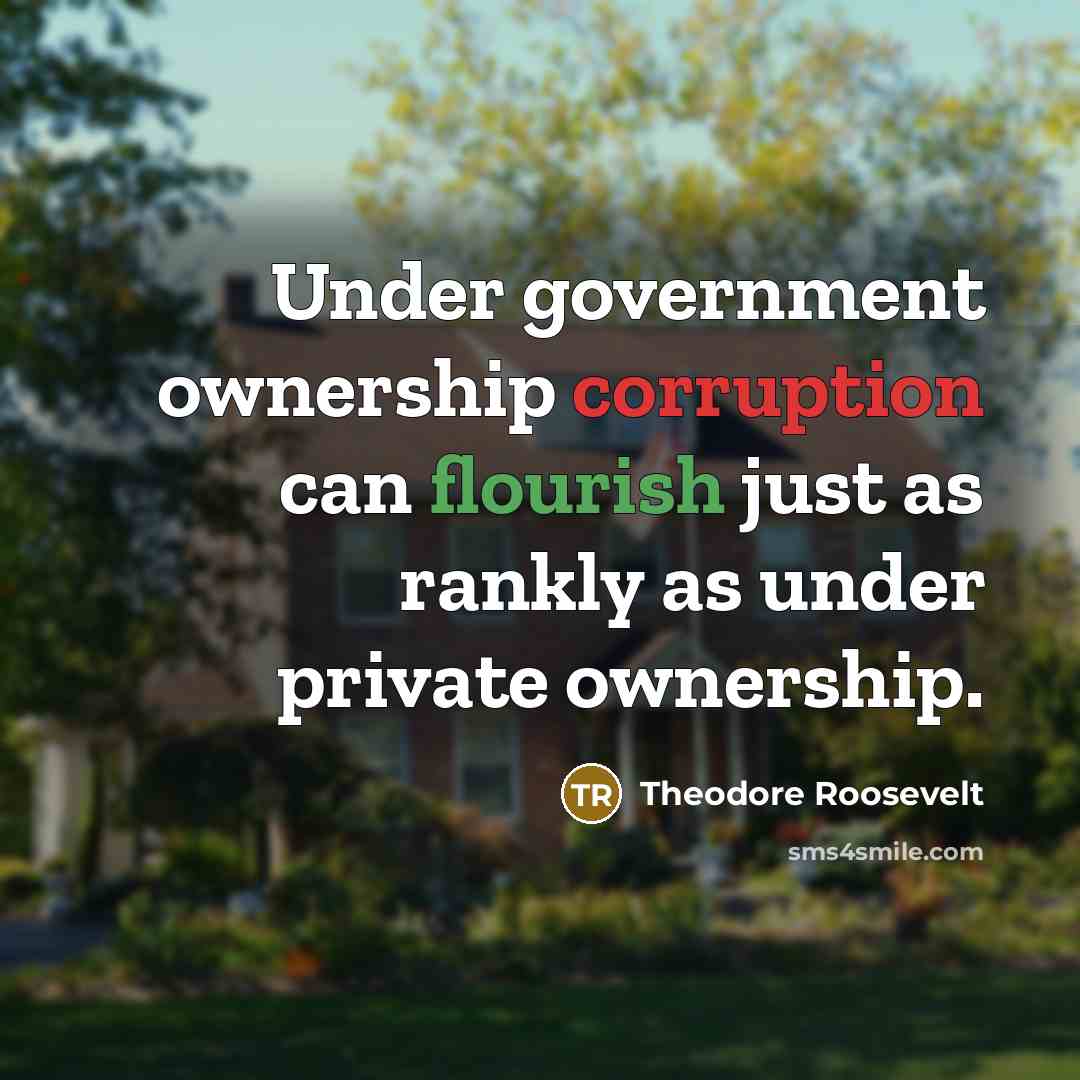 “Under government ownership corruption can flourish just as rankly as under private ownership.” quote by Theodore Roosevelt