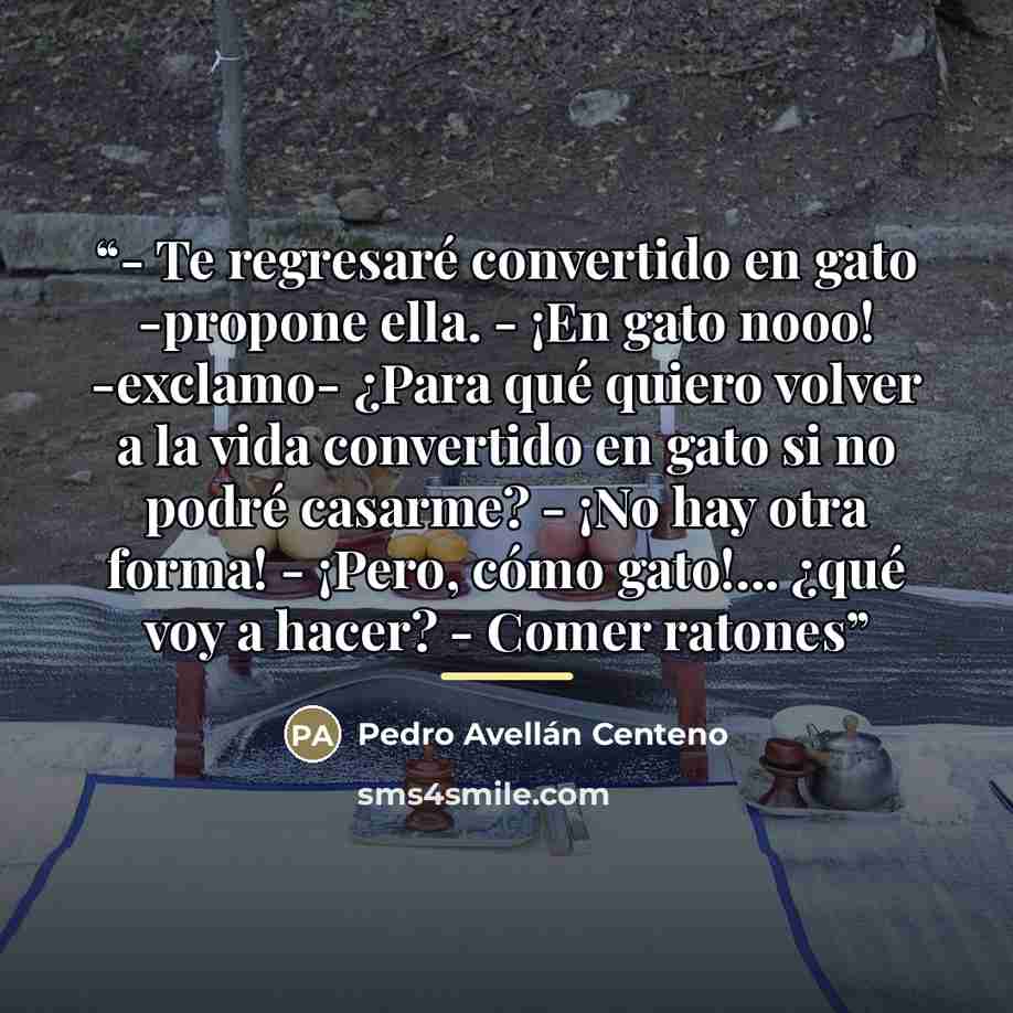 “- Te regresaré convertido en gato -propone ella. - ¡En gato nooo! -exclamo- ¿Para qué quiero volver a la vida convertido en gato si no podré casarme? - ¡No hay otra forma! - ¡Pero, cómo gato!... ¿qué voy a hacer? - Comer ratones” quote by Pedro Avellán Centeno