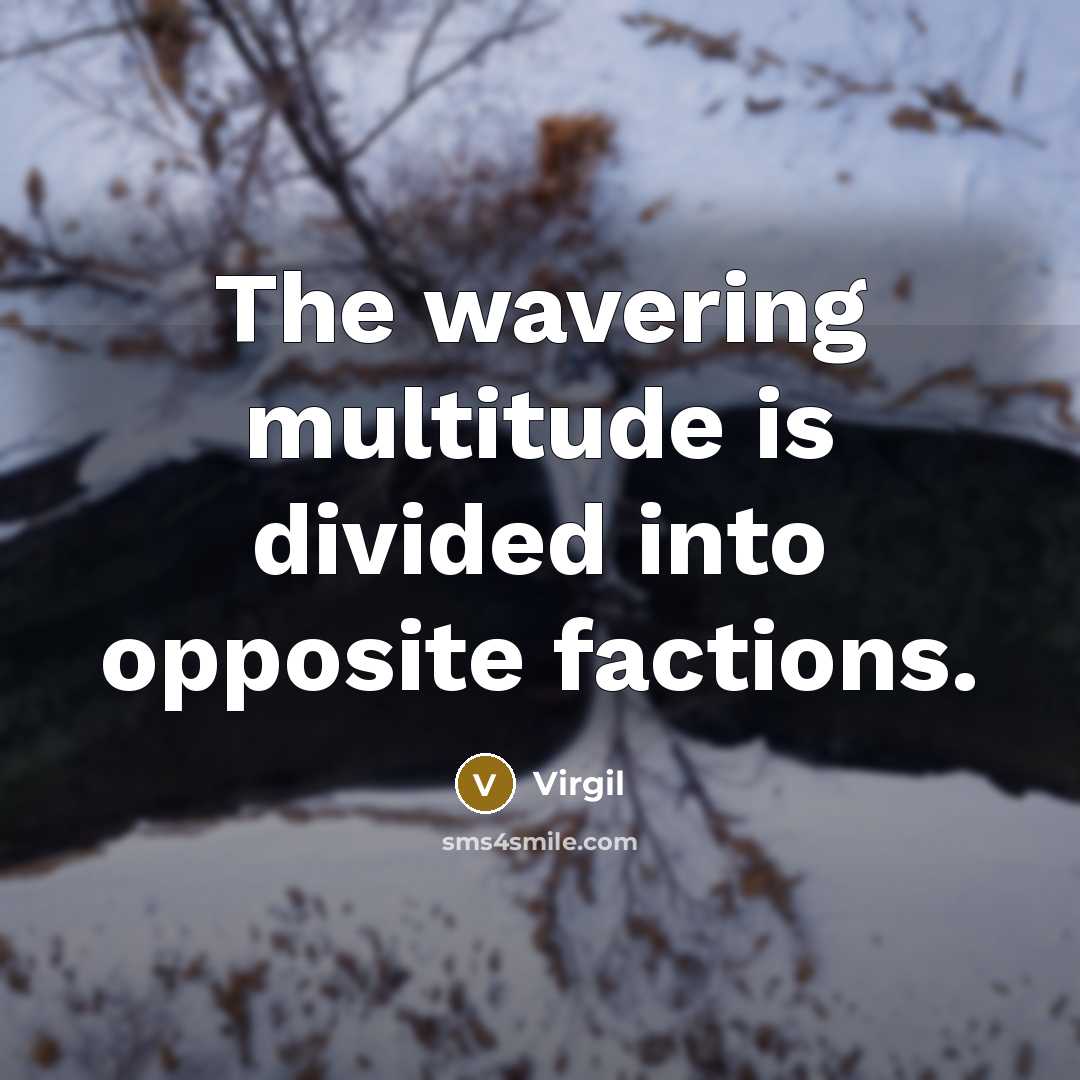“The wavering multitude is divided into opposite factions.” quote by Virgil