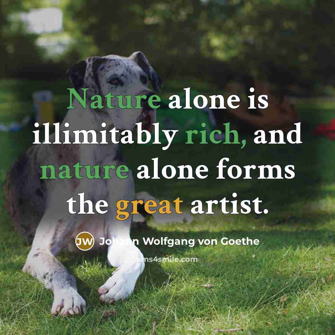 “Nature alone is illimitably rich, and nature alone forms the great artist.” quote by Johann Wolfgang Von Goethe