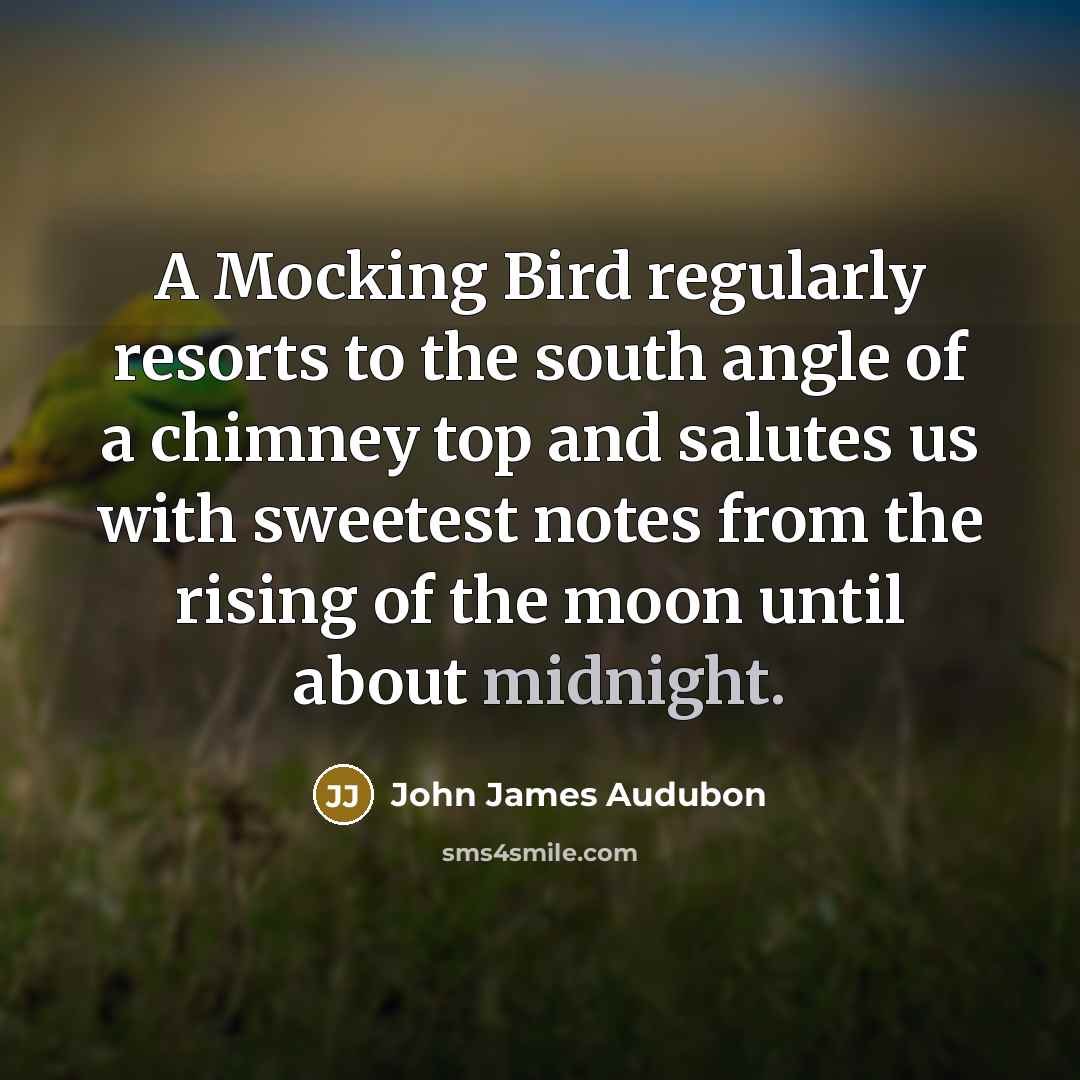 “A Mocking Bird regularly resorts to the south angle of a chimney top and salutes us with sweetest notes from the rising of the moon until about midnight.” quote by John James Audubon