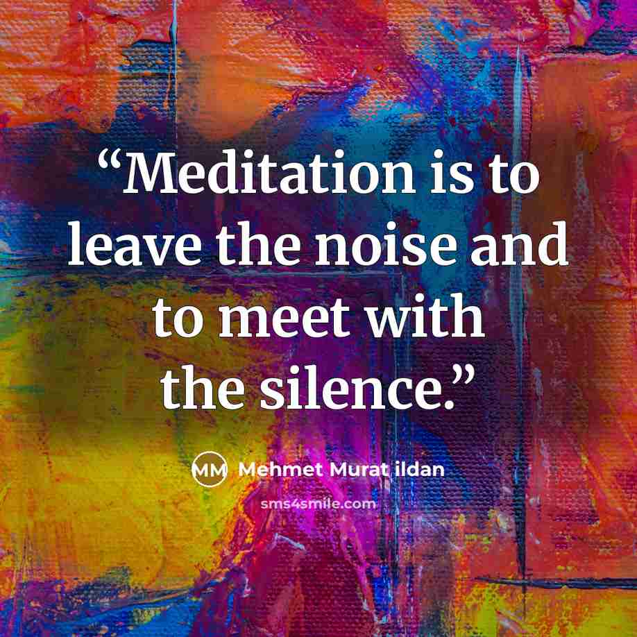 “Meditation is to leave the noise and to meet with the silence.” quote by Mehmet Murat ildan