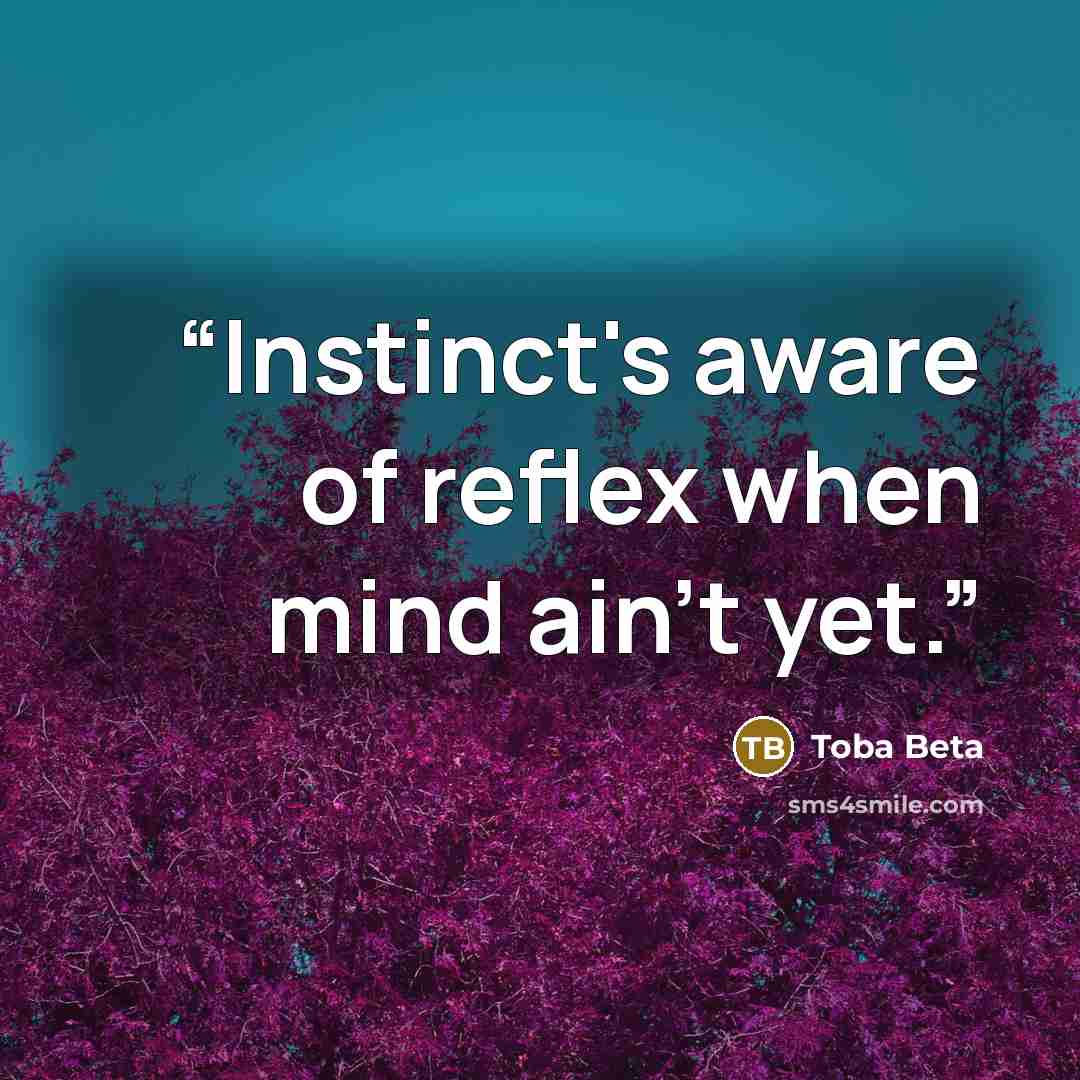 “Instinct's aware of reflex when mind ain't yet.” quote by Toba Beta