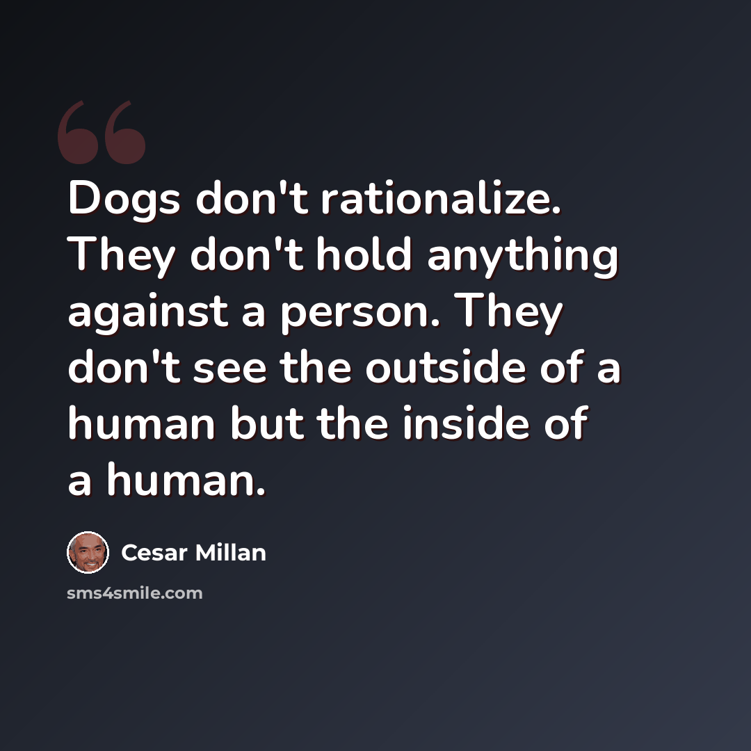 “Dogs don't rationalize. They don't hold anything against a person. They don't see the outside of a human but the inside of a human.” quote by Cesar Millan
