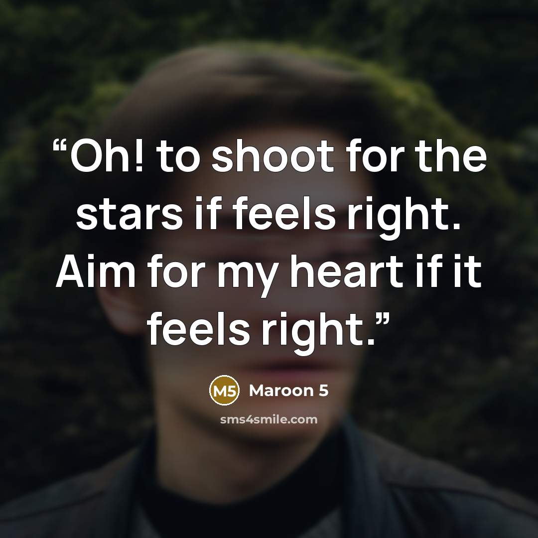 “Oh! to shoot for the stars if feels right. Aim for my heart if it feels right.” quote by Maroon 5