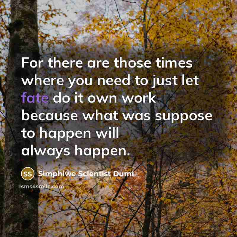 “For there are those times where you need to just let fate do it own work because what was suppose to happen will always happen.” quote by Simphiwe Scientist Dumi