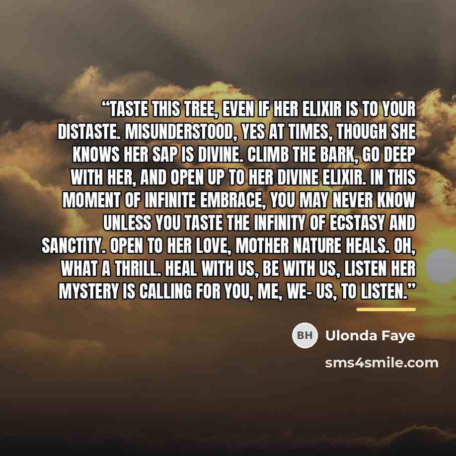 “Taste this tree, even if her elixir is to your distaste. Misunderstood, yes at times, though she knows her sap is divine. Climb the bark, go deep with her, and open up to her divine elixir. In this moment of infinite embrace, you may never know unless you taste the infinity of ecstasy and…” quote by Ulonda Faye