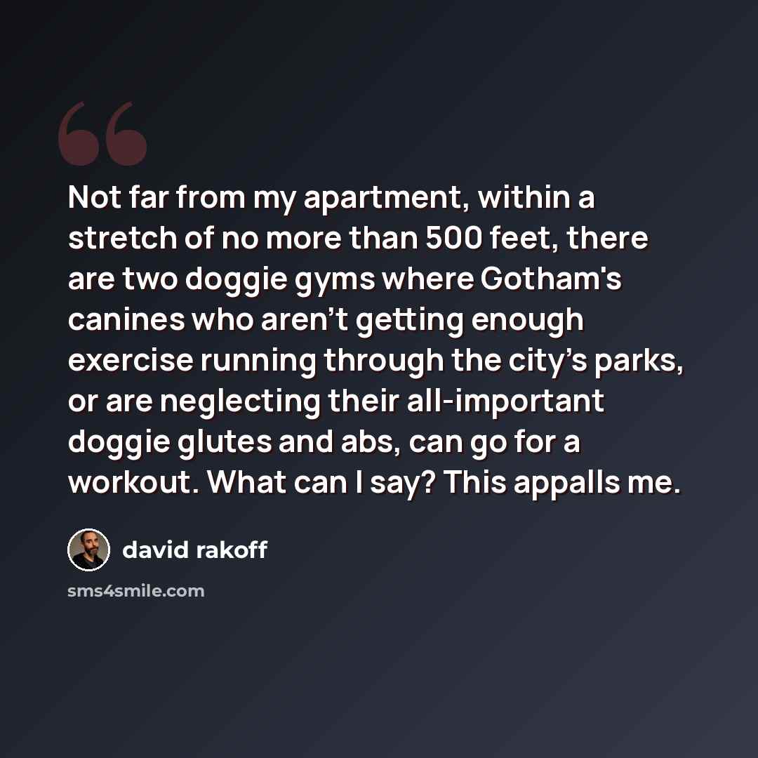 “Not far from my apartment, within a stretch of no more than 500 feet, there are two doggie gyms where Gotham's canines who aren't getting enough exercise running through the city's parks, or are neglecting their all-important doggie glutes and abs, can go for a workout. What can I say? This…” quote by David Rakoff
