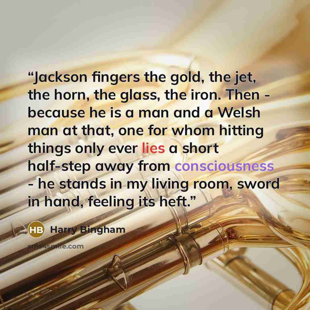 “Jackson fingers the gold, the jet, the horn, the glass, the iron. Then - because he is a man and a Welsh man at that, one for whom hitting things only ever lies a short half-step away from consciousness - he stands in my living room, sword in hand, feeling its heft.” quote by Harry Bingham