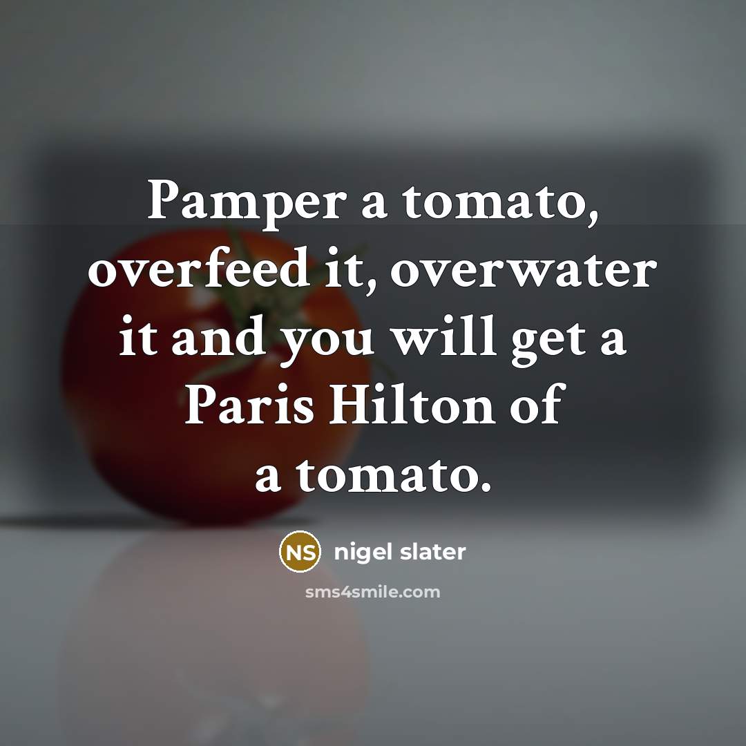 “Pamper a tomato, overfeed it, overwater it and you will get a Paris Hilton of a tomato.” quote by Nigel Slater