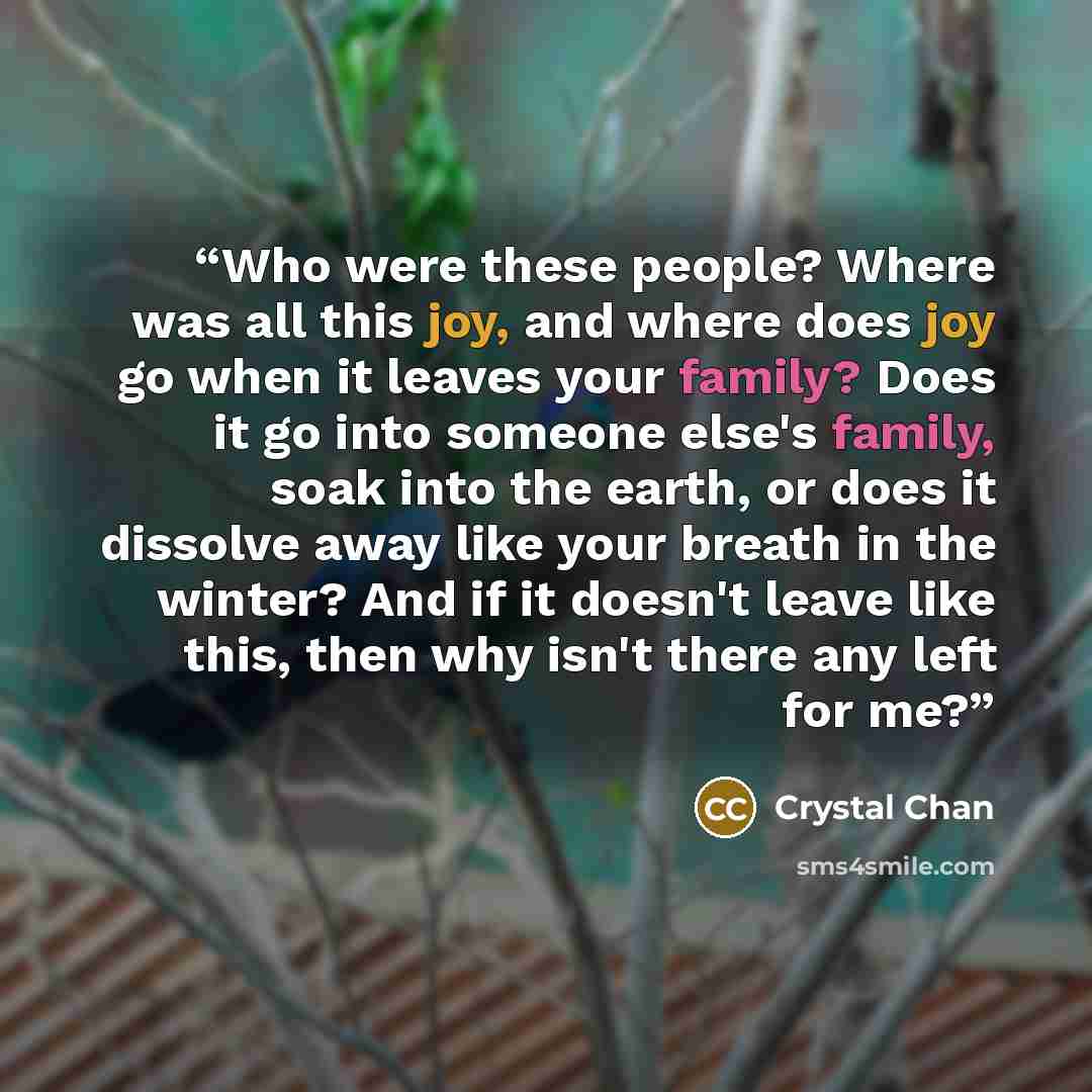 “Who were these people? Where was all this joy, and where does joy go when it leaves your family? Does it go into someone else's family, soak into the earth, or does it dissolve away like your breath in the winter? And if it doesn't leave like this, then why isn't there any left for me?” quote by Crystal Chan