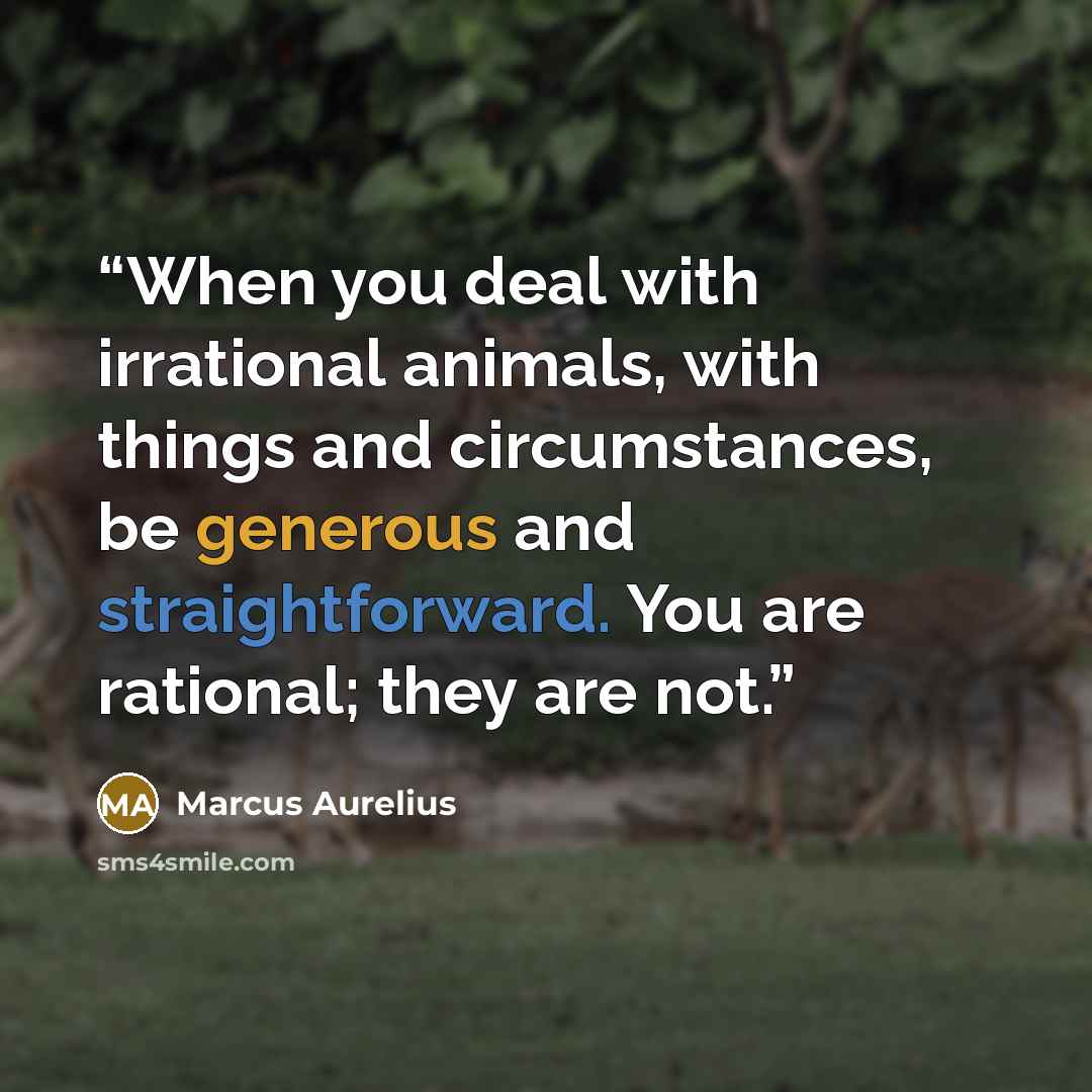 “When you deal with irrational animals, with things and circumstances, be generous and straightforward. You are rational; they are not.” quote by Marcus Aurelius