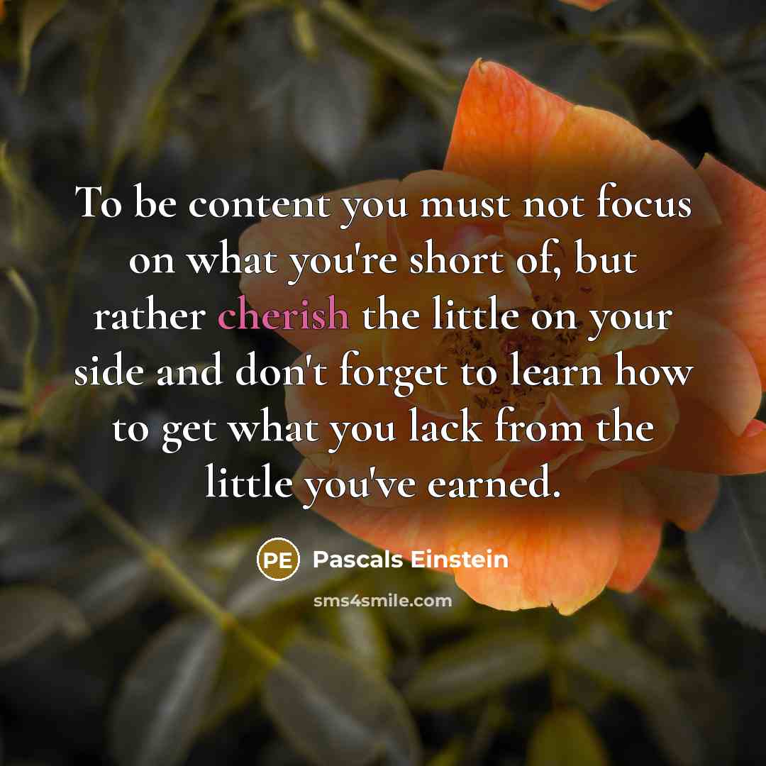 “To be content you must not focus on what you're short of, but rather cherish the little on your side and don't forget to learn how to get what you lack from the little you've earned.” quote by Pascals Einstein