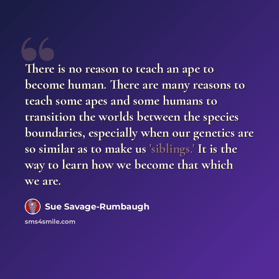 “There is no reason to teach an ape to become human. There are many reasons to teach some apes and some humans to transition the worlds between the species boundaries, especially when our genetics are so similar as to make us 'siblings.' It is the way to learn how we become that which we are.” quote by Sue Savage-Rumbaugh