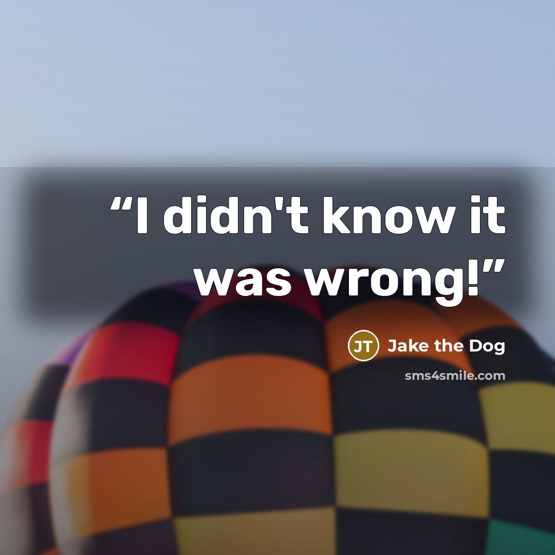 “I didn't know it was wrong!” quote by Jake the Dog