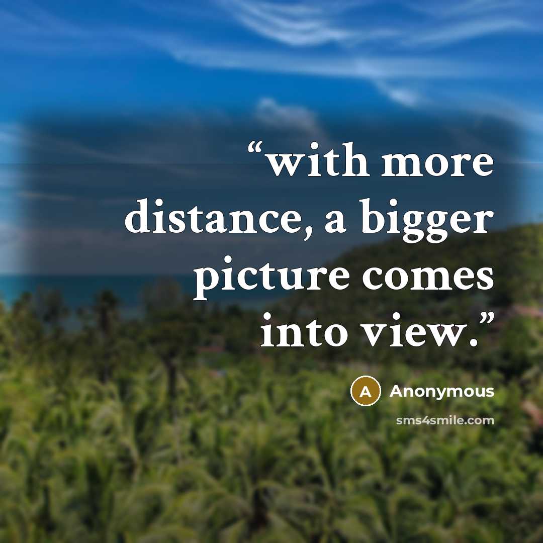 “with more distance, a bigger picture comes into view.” quote by Anonymous