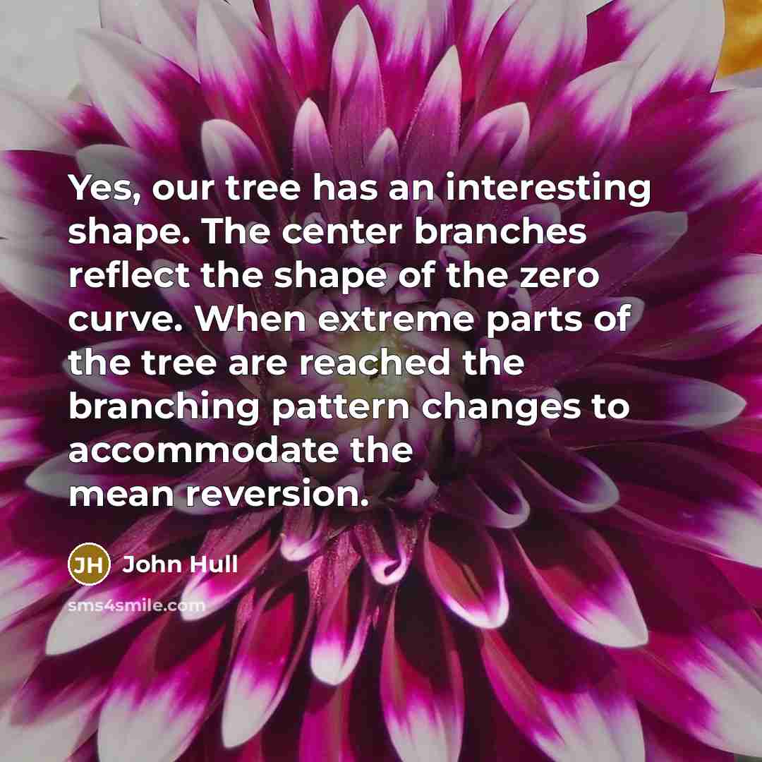 “Yes, our tree has an interesting shape. The center branches reflect the shape of the zero curve. When extreme parts of the tree are reached the branching pattern changes to accommodate the mean reversion.” quote by John Hull