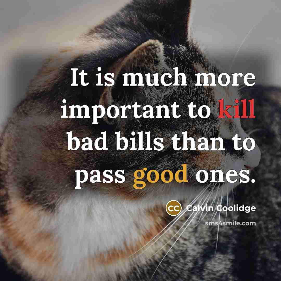 “It is much more important to kill bad bills than to pass good ones.” quote by Calvin Coolidge