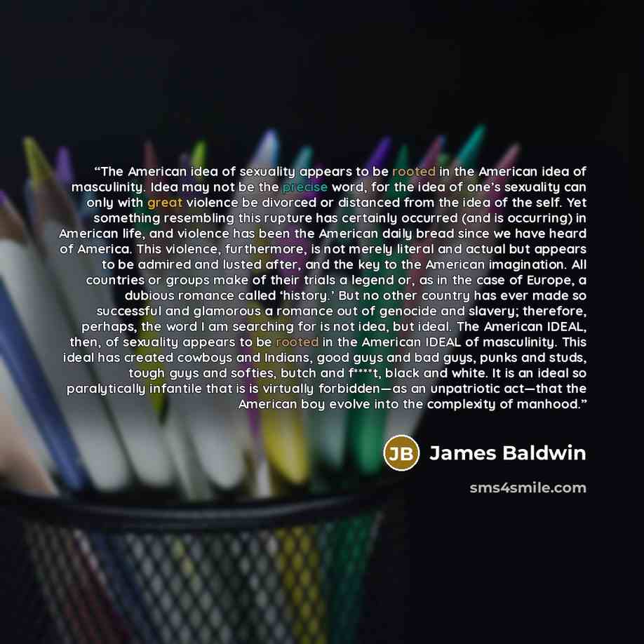 “The American idea of sexuality appears to be rooted in the American idea of masculinity. Idea may not be the precise word, for the idea of one’s sexuality can only with great violence be divorced or distanced from the idea of the self. Yet something resembling this rupture has certainly occurred…” quote by James Baldwin