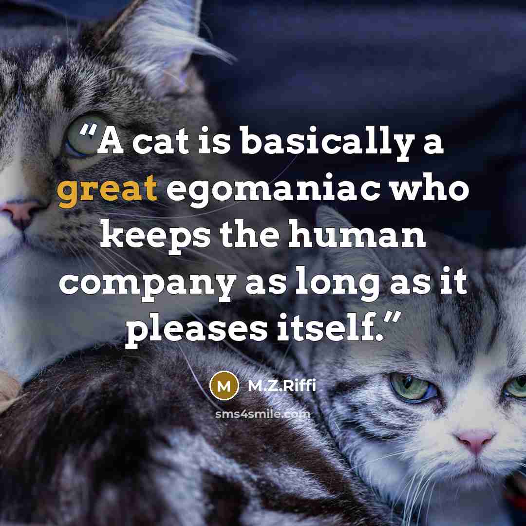 “A cat is basically a great egomaniac who keeps the human company as long as it pleases itself.” quote by M.Z.Riffi