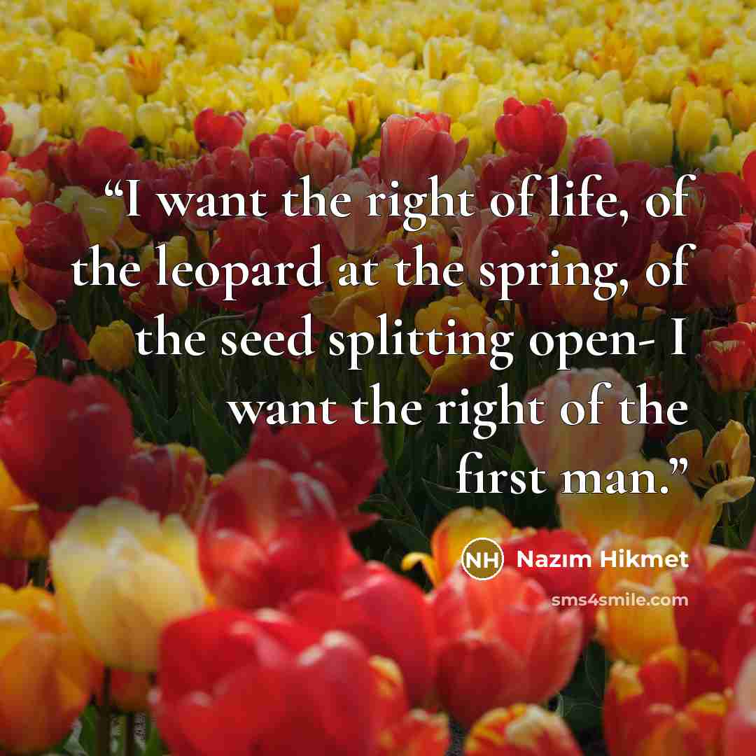 “I want the right of life, of the leopard at the spring, of the seed splitting open- I want the right of the first man.” quote by Nâzım Hikmet