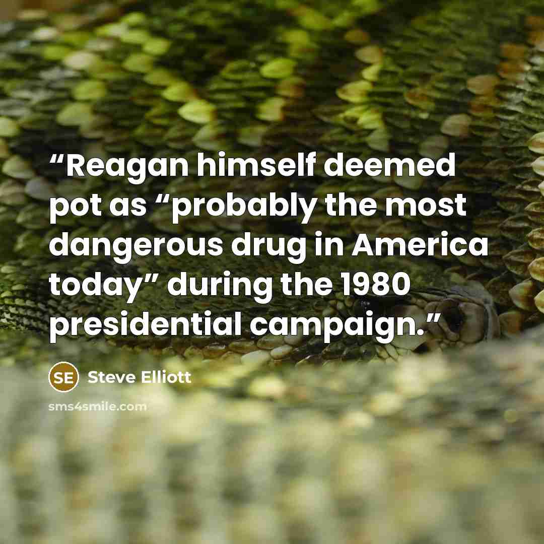“Reagan himself deemed pot as “probably the most dangerous drug in America today” during the 1980 presidential campaign.” quote by Steve Elliott