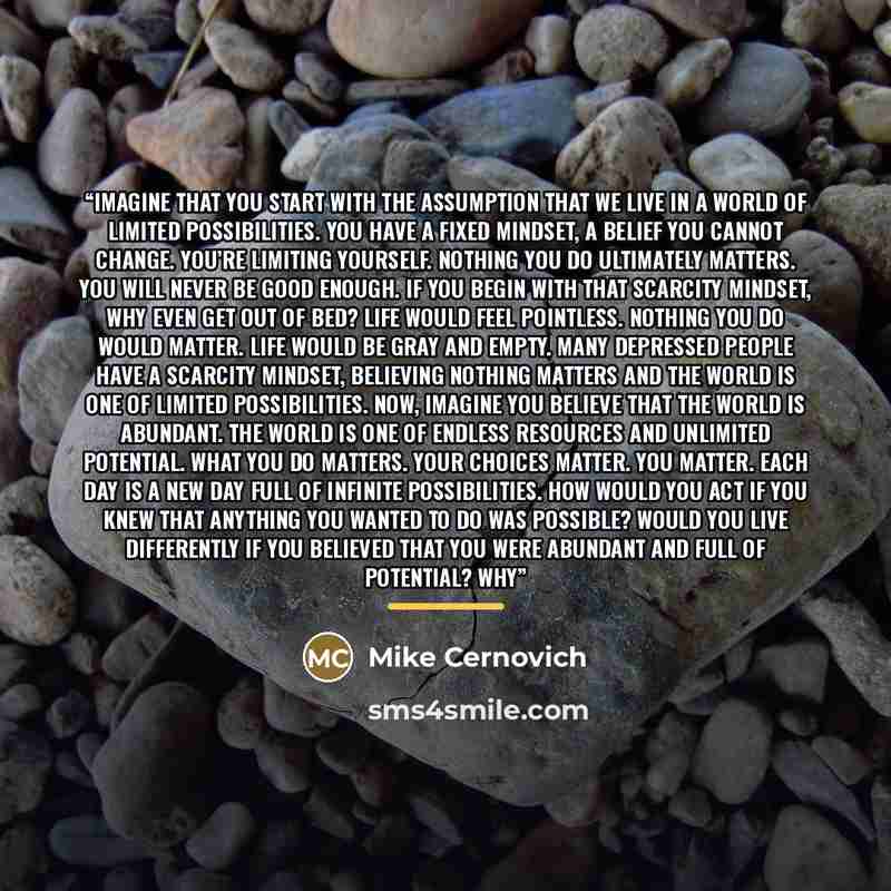 “Imagine that you start with the assumption that we live in a world of limited possibilities. You have a fixed mindset, a belief you cannot change. You’re limiting yourself. Nothing you do ultimately matters. You will never be good enough. If you begin with that scarcity mindset, why even get out…” quote by Mike Cernovich