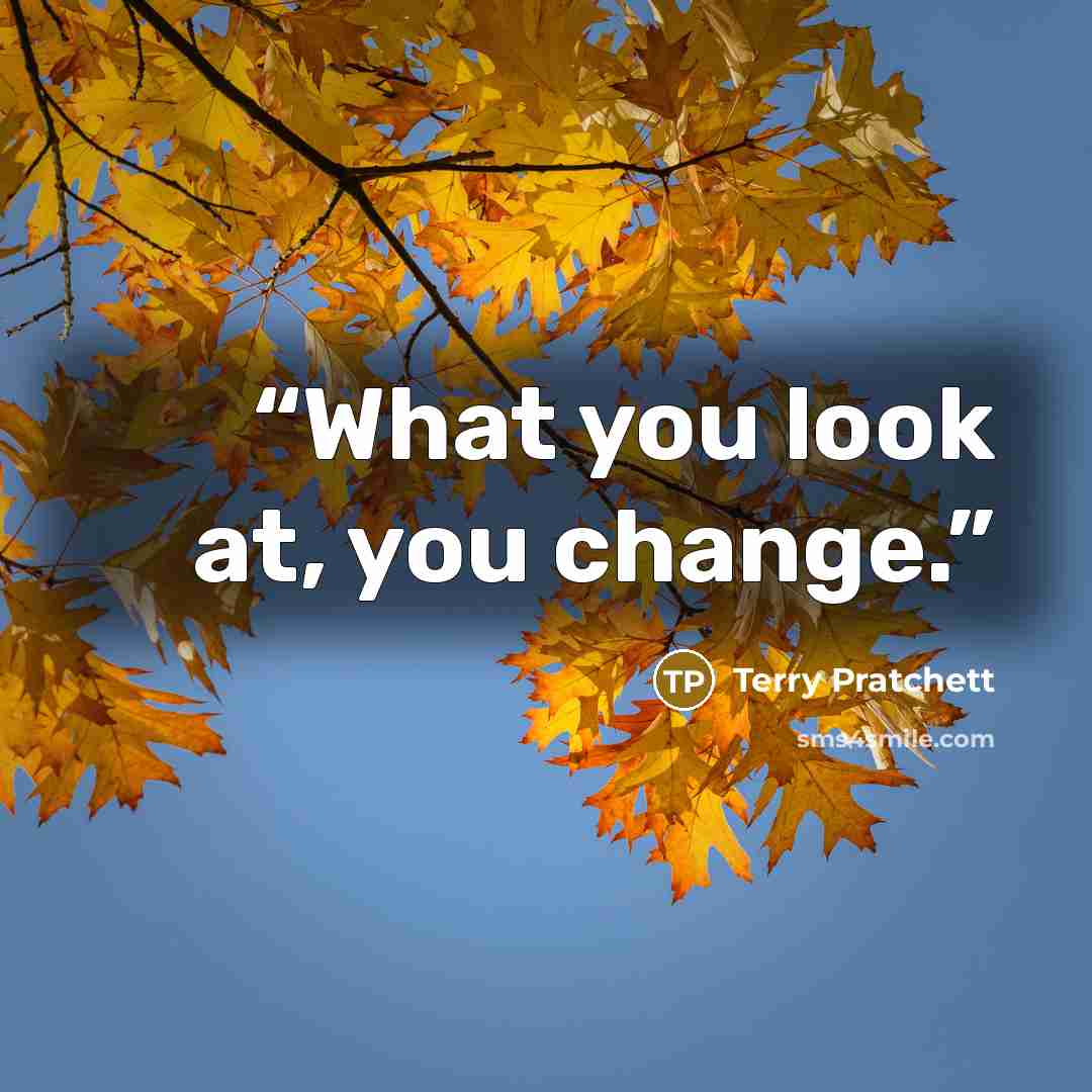 “What you look at, you change.” quote by Terry Pratchett