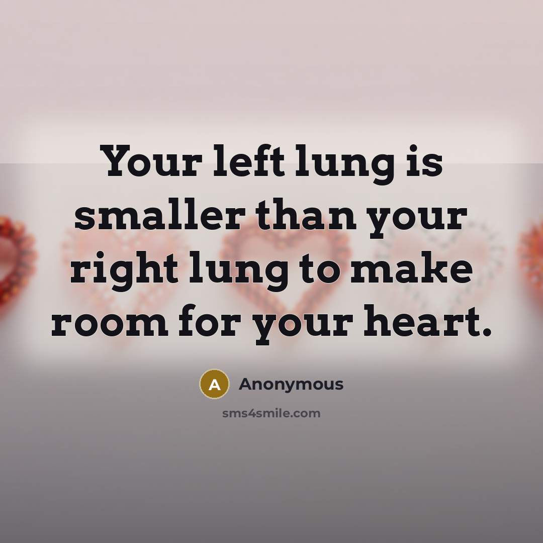 “Your left lung is smaller than your right lung to make room for your heart.” quote by Anonymous