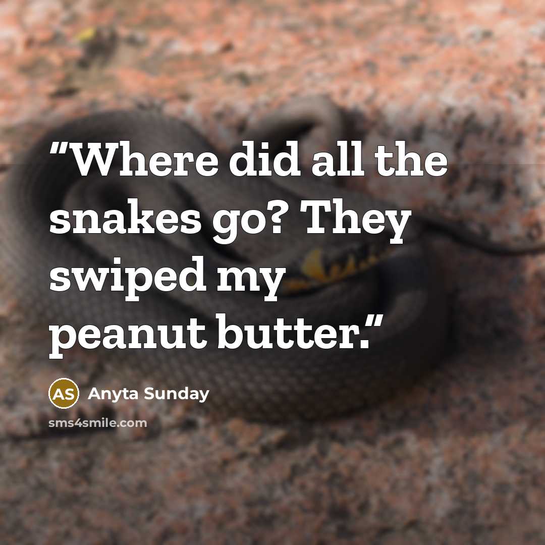 “Where did all the snakes go? They swiped my peanut butter.” quote by Anyta Sunday