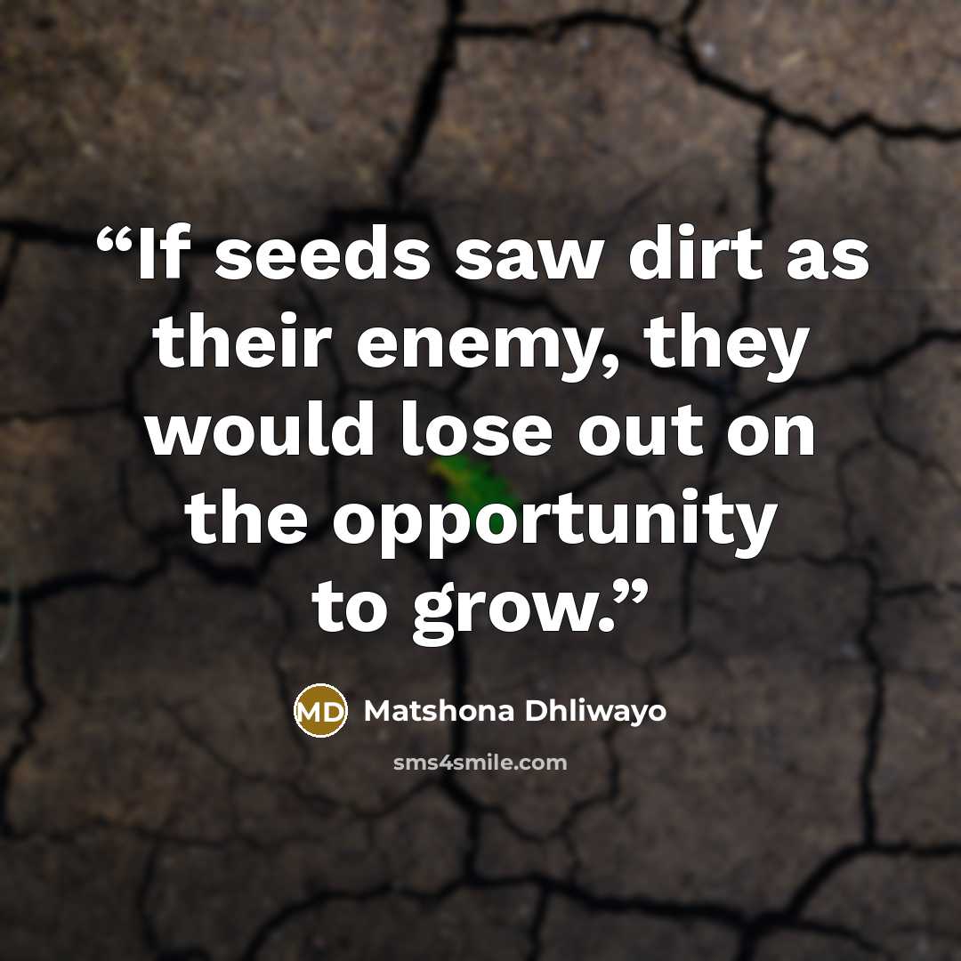 “If seeds saw dirt as their enemy, they would lose out on the opportunity to grow.” quote by Matshona Dhliwayo