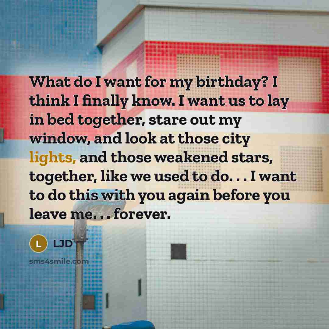 “What do I want for my birthday? I think I finally know. I want us to lay in bed together, stare out my window, and look at those city lights, and those weakened stars, together, like we used to do. . . I want to do this with you again before you leave me. . . forever.” quote by LJD