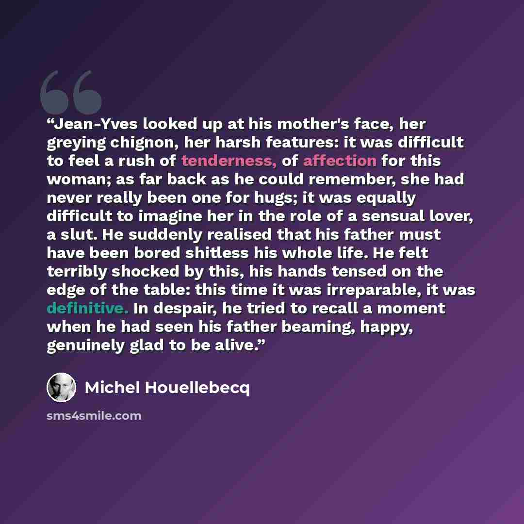 “Jean-Yves looked up at his mother's face, her greying chignon, her harsh features: it was difficult to feel a rush of tenderness, of affection for this woman; as far back as he could remember, she had never really been one for hugs; it was equally difficult to imagine her in the role of a sensual…” quote by Michel Houellebecq