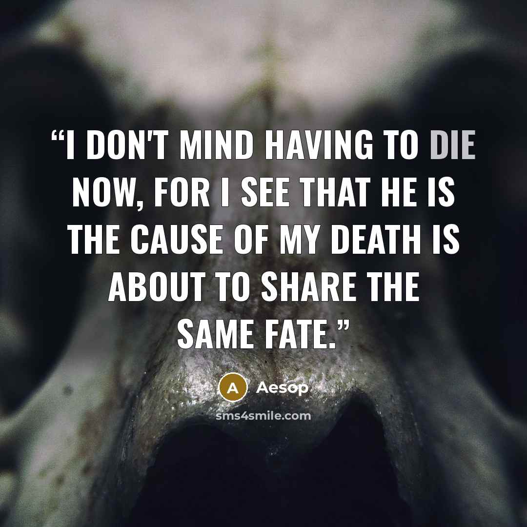 “I don't mind having to die now, for I see that he is the cause of my death is about to share the same fate.” quote by Aesop