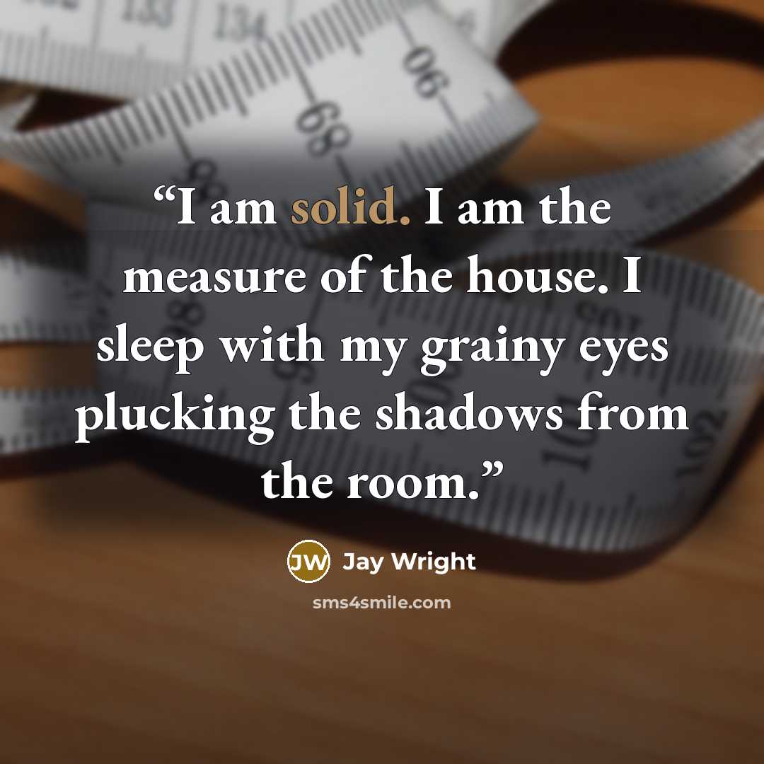 “I am solid. I am the measure of the house. I sleep with my grainy eyes plucking the shadows from the room.” quote by Jay Wright