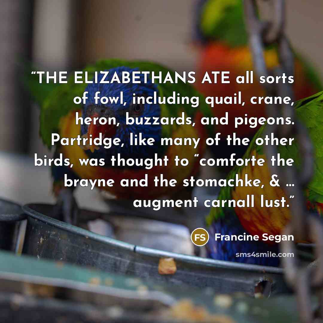 “THE ELIZABETHANS ATE all sorts of fowl, including quail, crane, heron, buzzards, and pigeons. Partridge, like many of the other birds, was thought to “comforte the brayne and the stomachke, & … augment carnall lust.” quote by Francine Segan