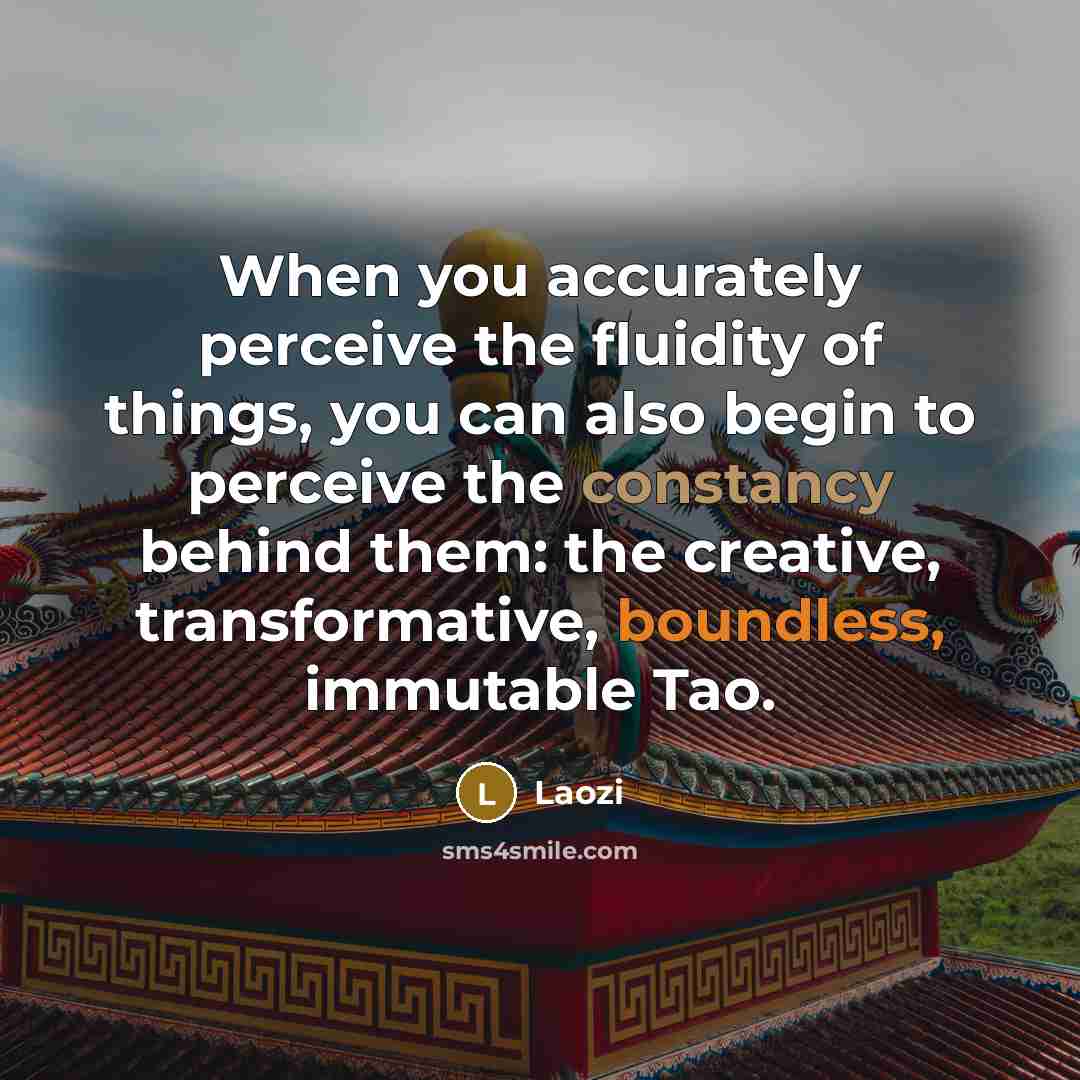 “When you accurately perceive the fluidity of things, you can also begin to perceive the constancy behind them: the creative, transformative, boundless, immutable Tao.” quote by Laozi