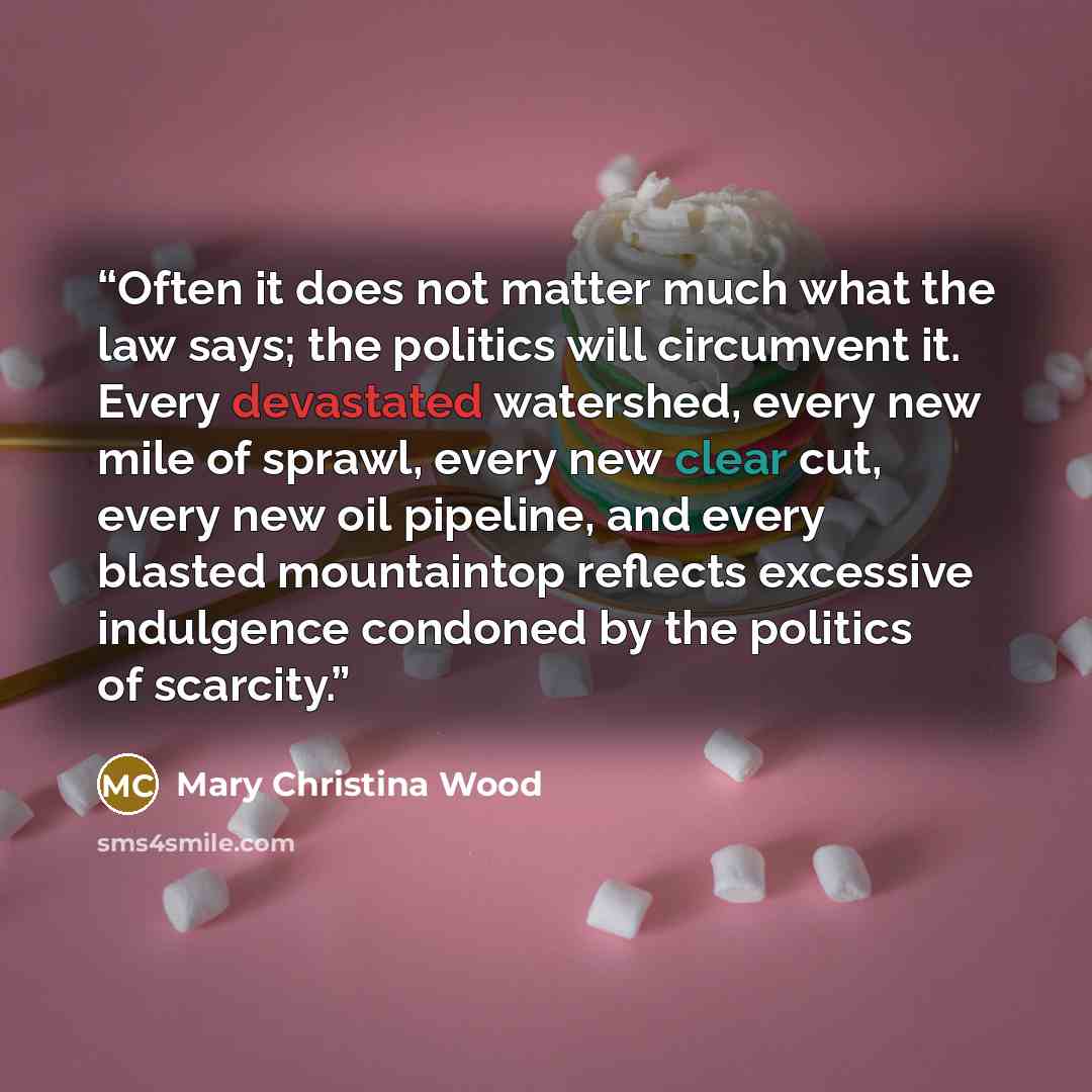 “Often it does not matter much what the law says; the politics will circumvent it. Every devastated watershed, every new mile of sprawl, every new clear cut, every new oil pipeline, and every blasted mountaintop reflects excessive indulgence condoned by the politics of scarcity.” quote by Mary Christina Wood