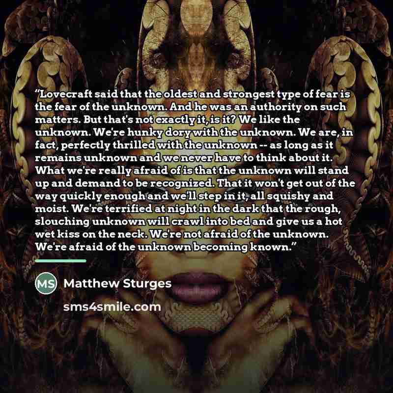 “Lovecraft said that the oldest and strongest type of fear is the fear of the unknown. And he was an authority on such matters. But that's not exactly it, is it? We like the unknown. We're hunky dory with the unknown. We are, in fact, perfectly thrilled with the unknown -- as long as it remains…” quote by Matthew Sturges